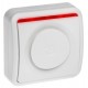 Internal siren for the alarm system with a built-in button