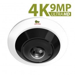 Camera IPF-5SP 4K fisheye